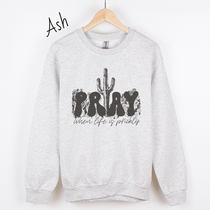Pray When Life Gets Prickly Sweatshirt