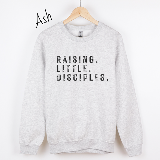 Raising Little Disciples Sweatshirt
